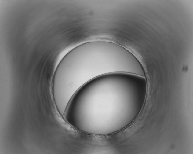 X0000090890960200707271036