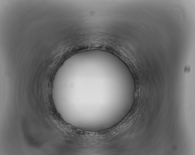 X0000090890961200707271035