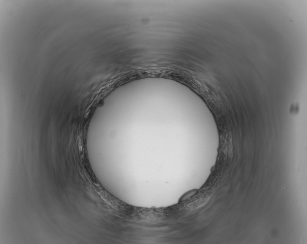 X0000090890962200707271035