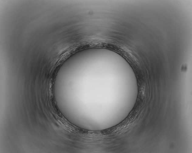 X0000090890964200707271035