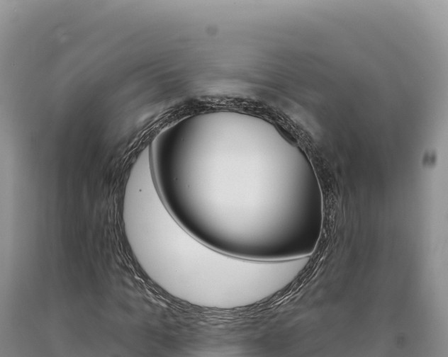 X0000090890965200707271035
