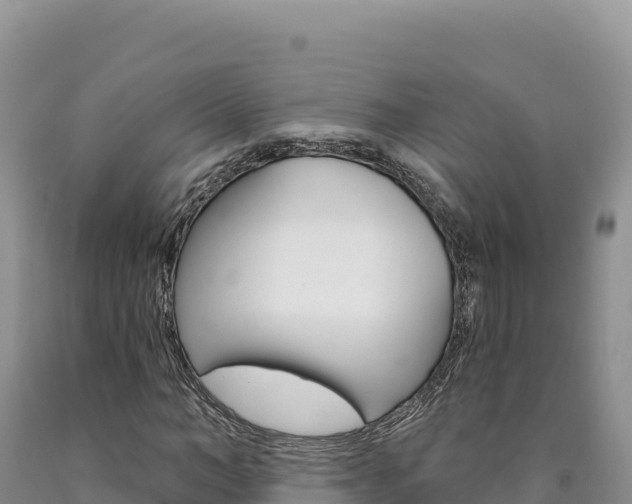 X0000090890966200707271035