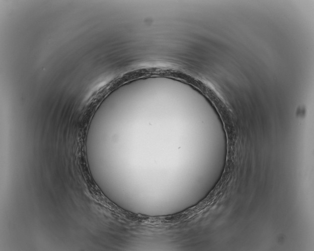 X0000090890967200707271035