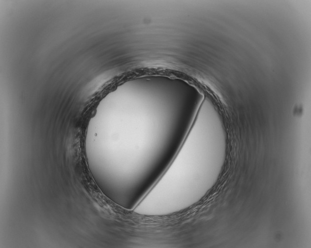 X0000090890968200707271035