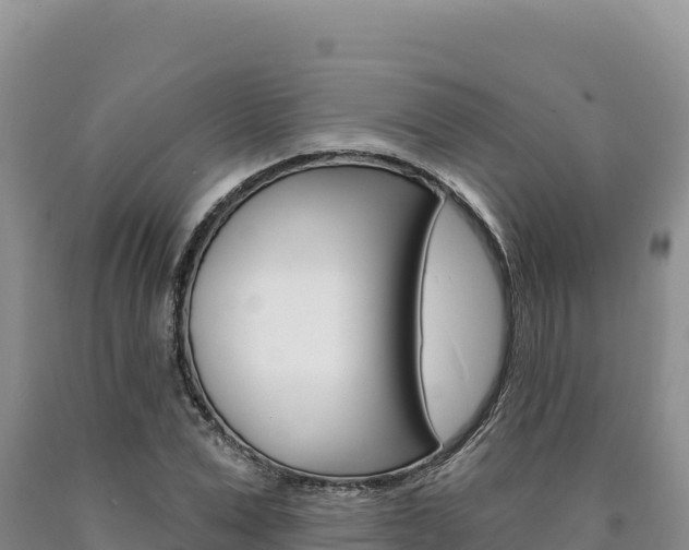 X0000090890975200707271035