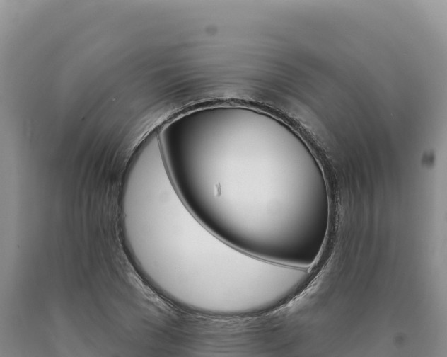 X0000090890977200707271035