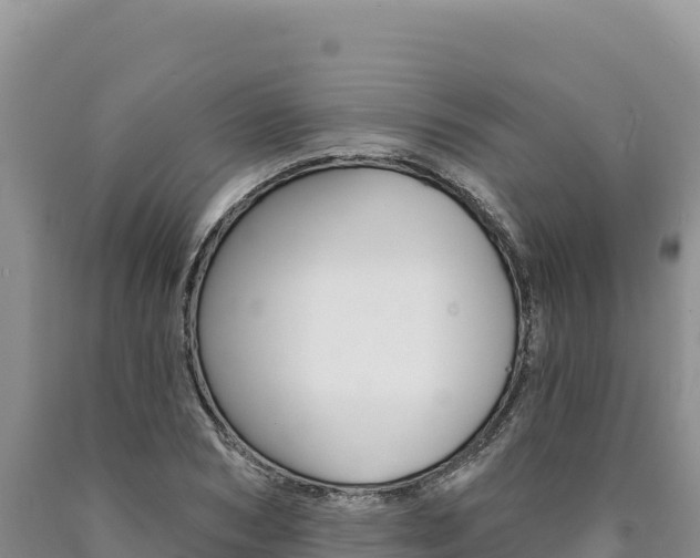X0000090890978200707271035
