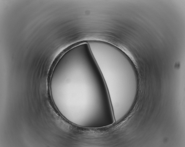 X0000090890980200707271035