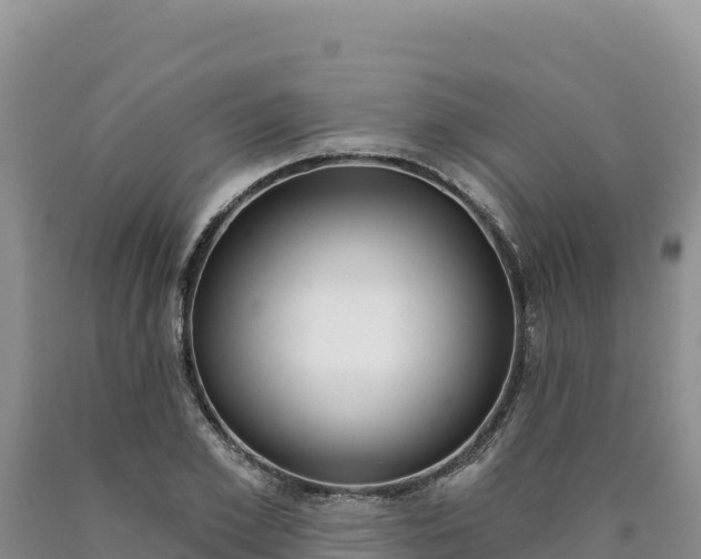 X0000090890981200707271035