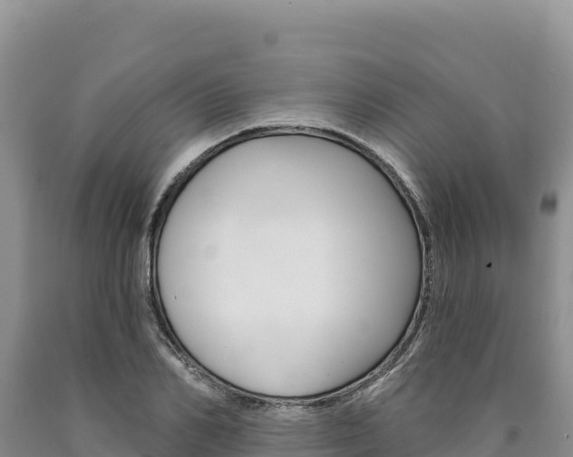 X0000090890982200707271034