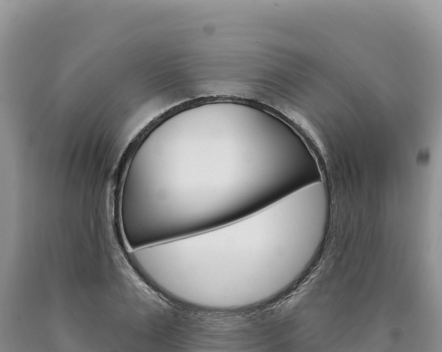 X0000090890983200707271034