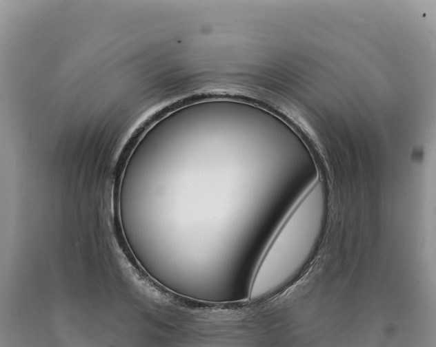 X0000090890984200707271034