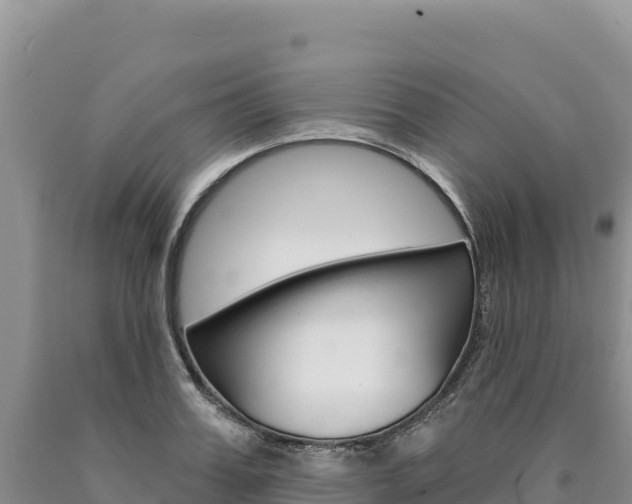 X0000090890987200707271034