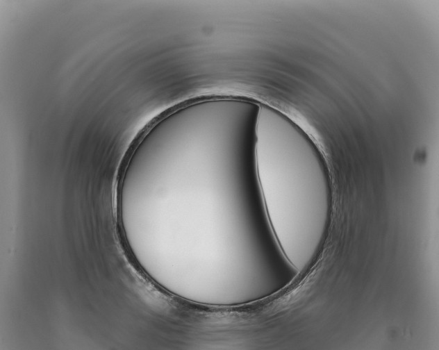 X0000090890988200707271034