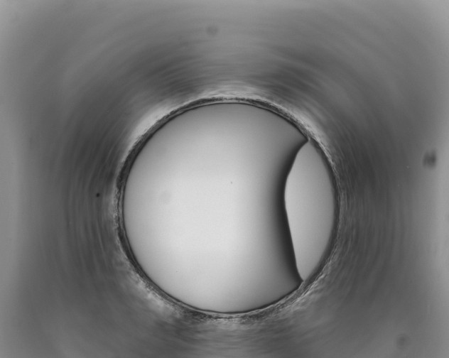 X0000090890990200707271034