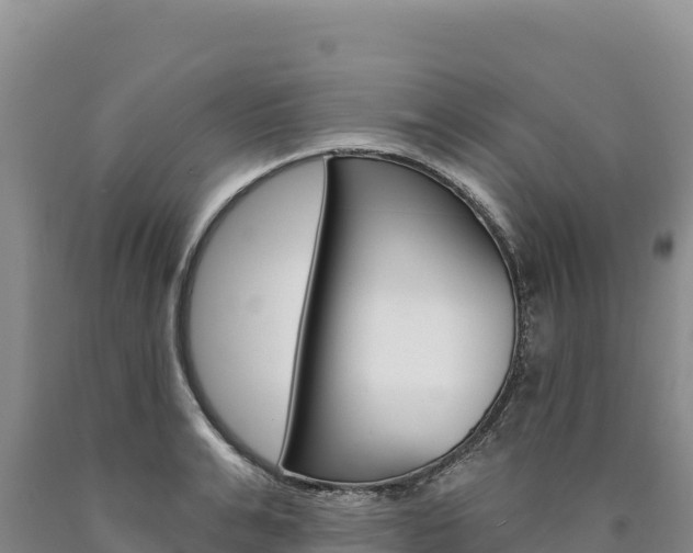 X0000090890991200707271034