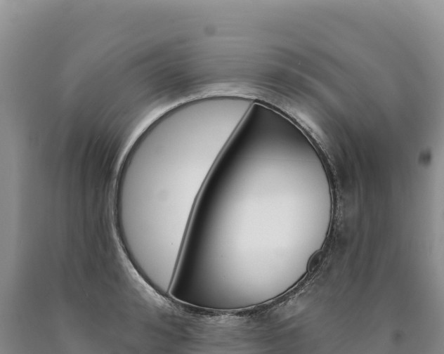 X0000090890992200707271034