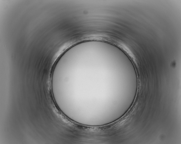 X0000090890994200707271034