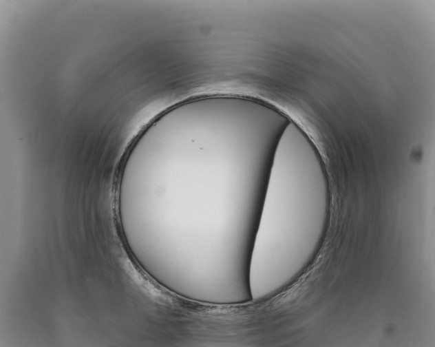 X0000090890998200707271034
