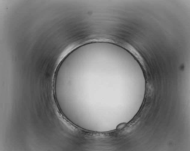 X0000090891002200707271034