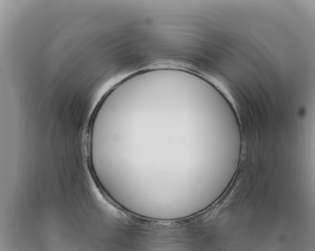 X0000090891003200707271034