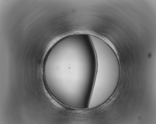 X0000090891005200707271034
