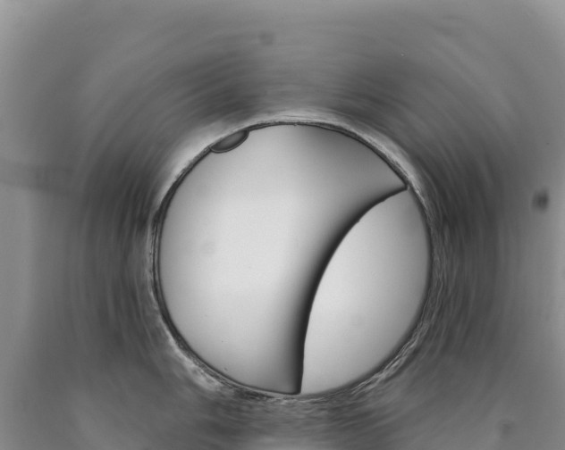 X0000090891006200707271034