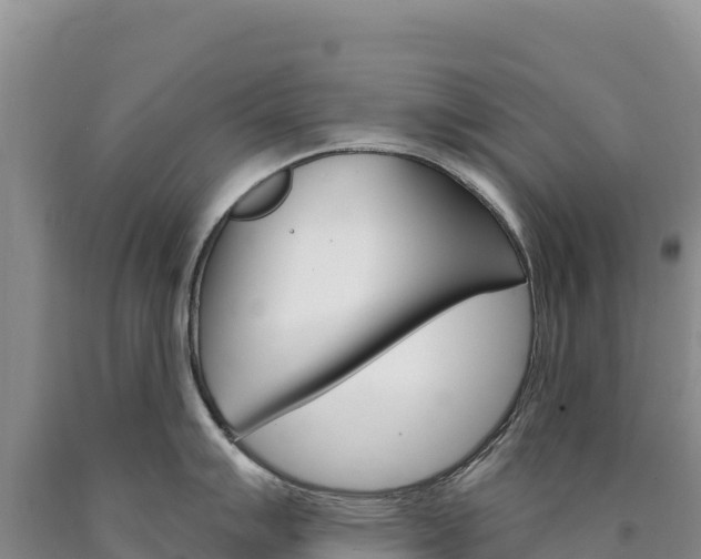 X0000090891007200707271034