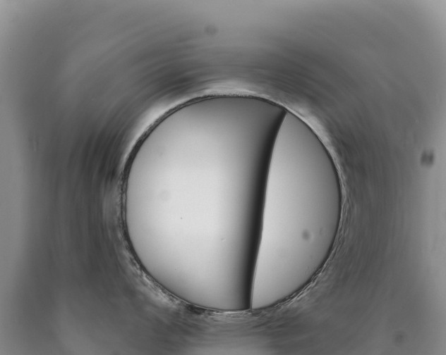 X0000090891008200707271034