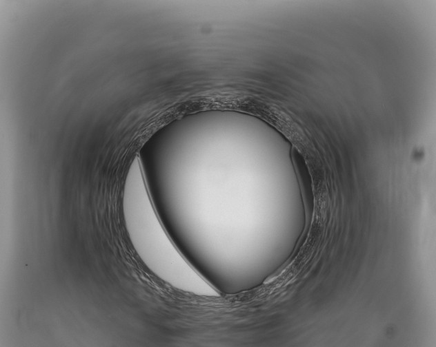 X0000090891010200707271033