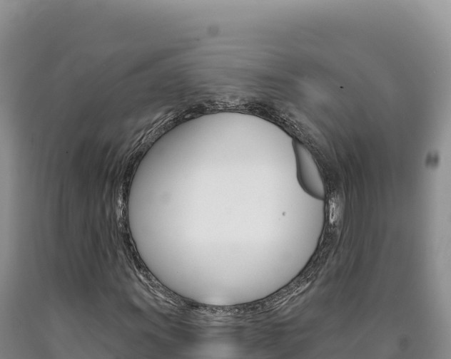 X0000090891011200707271033