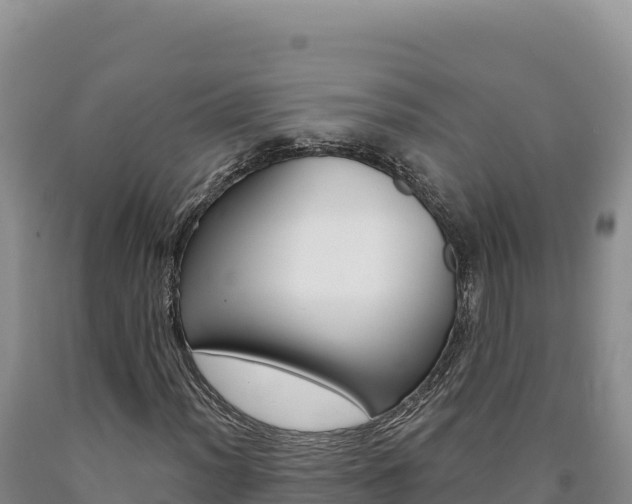 X0000090891012200707271033