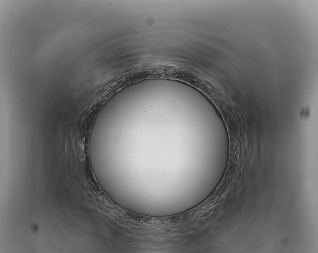 X0000090891013200707271033