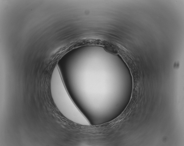 X0000090891014200707271033