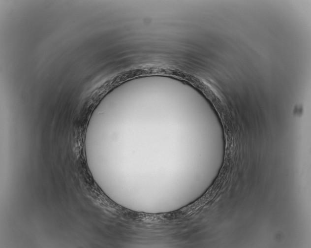 X0000090891015200707271033