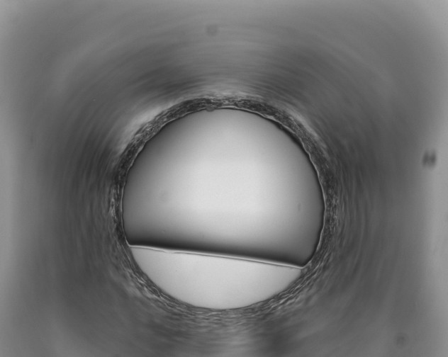 X0000090891016200707271033