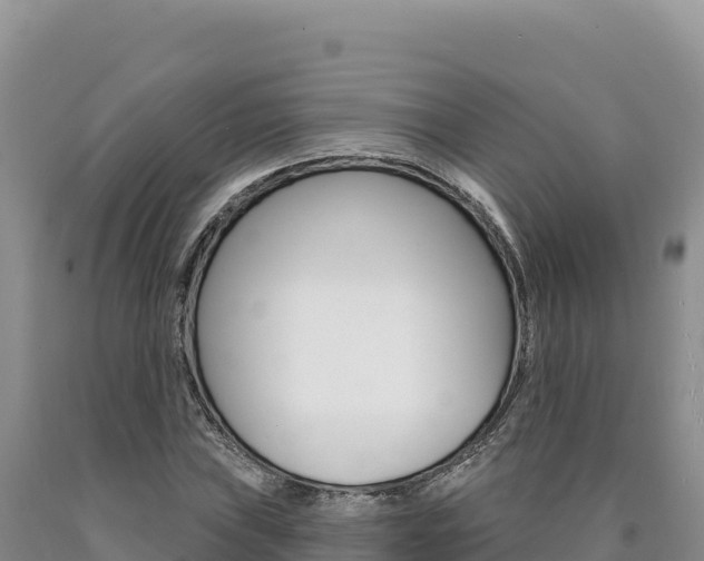 X0000090891019200707271034