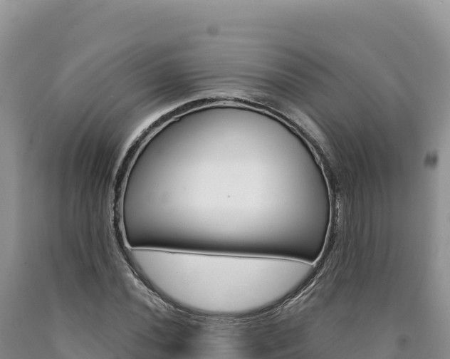 X0000090891020200707271034