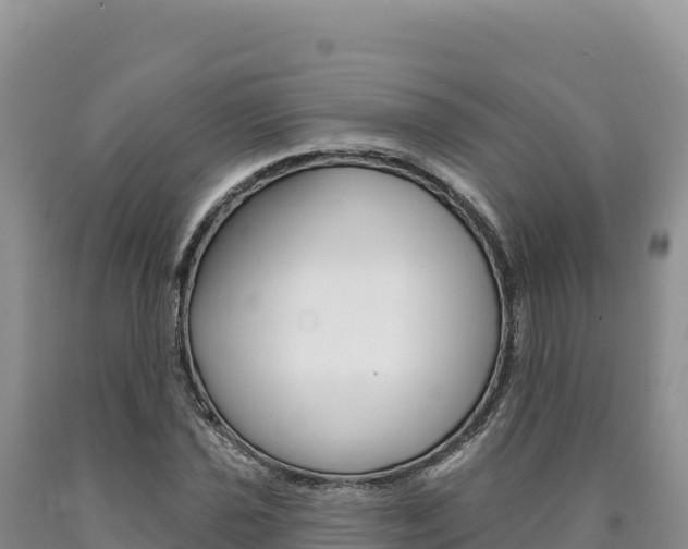 X0000090891021200707271034
