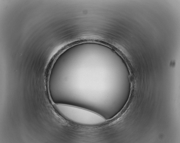 X0000090891022200707271034