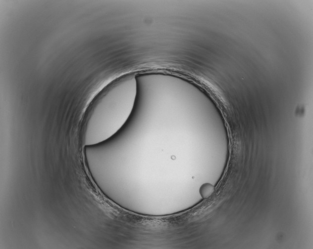 X0000090891023200707271034