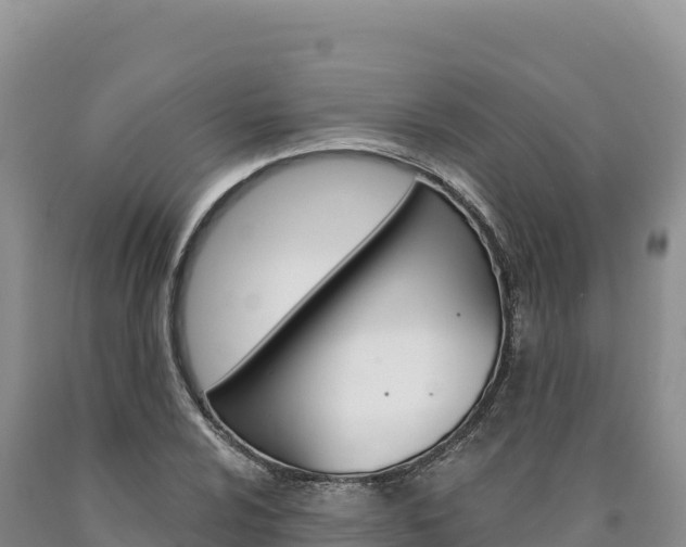 X0000090891024200707271034
