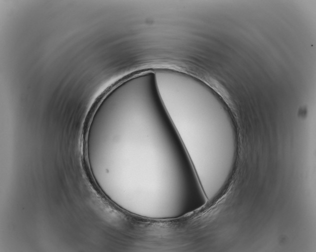X0000090891028200707271034