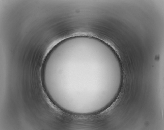 X0000090891030200707271034