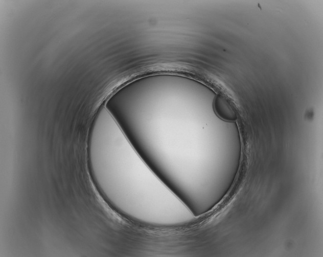 X0000090891033200707271034
