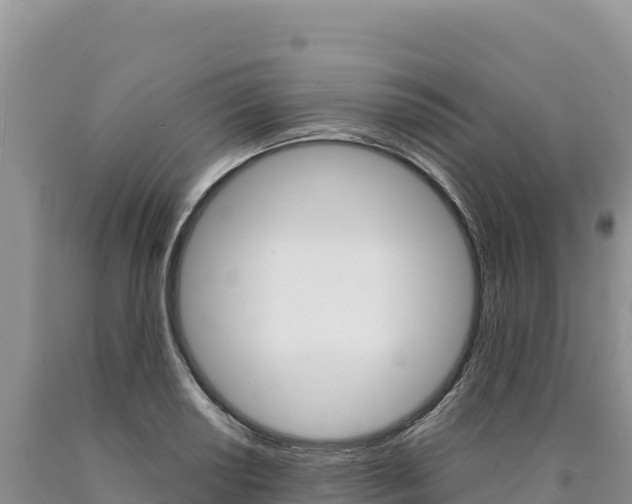 X0000090891034200707271034