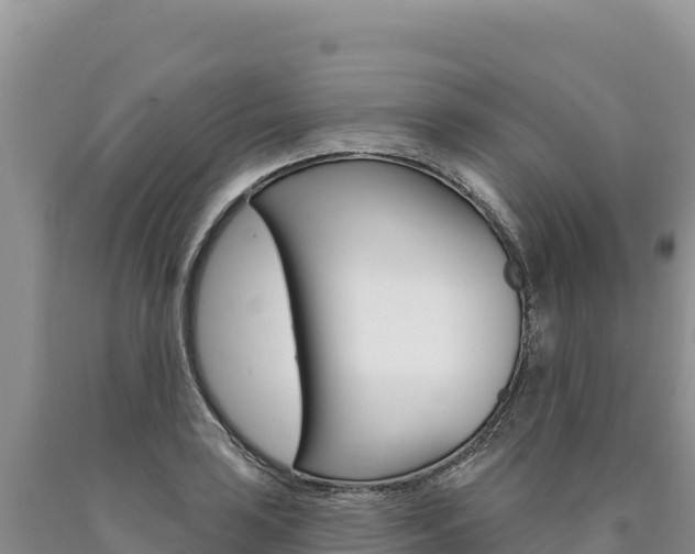 X0000090891035200707271034