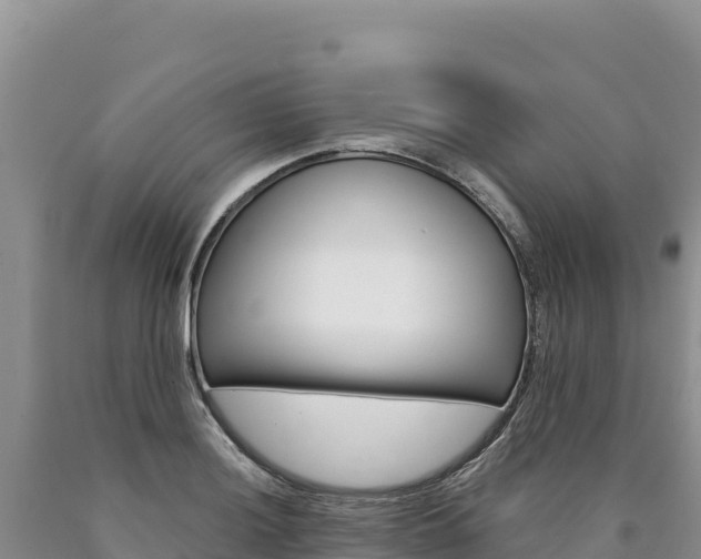 X0000090891036200707271034