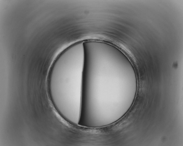 X0000090891037200707271034