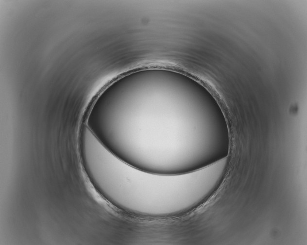X0000090891038200707271034